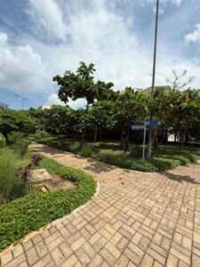 Properties for Rent & Sale in Kenya