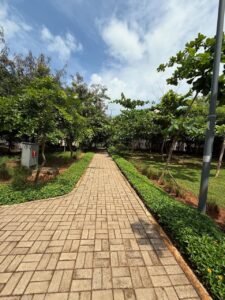 Properties for Rent & Sale in Kenya